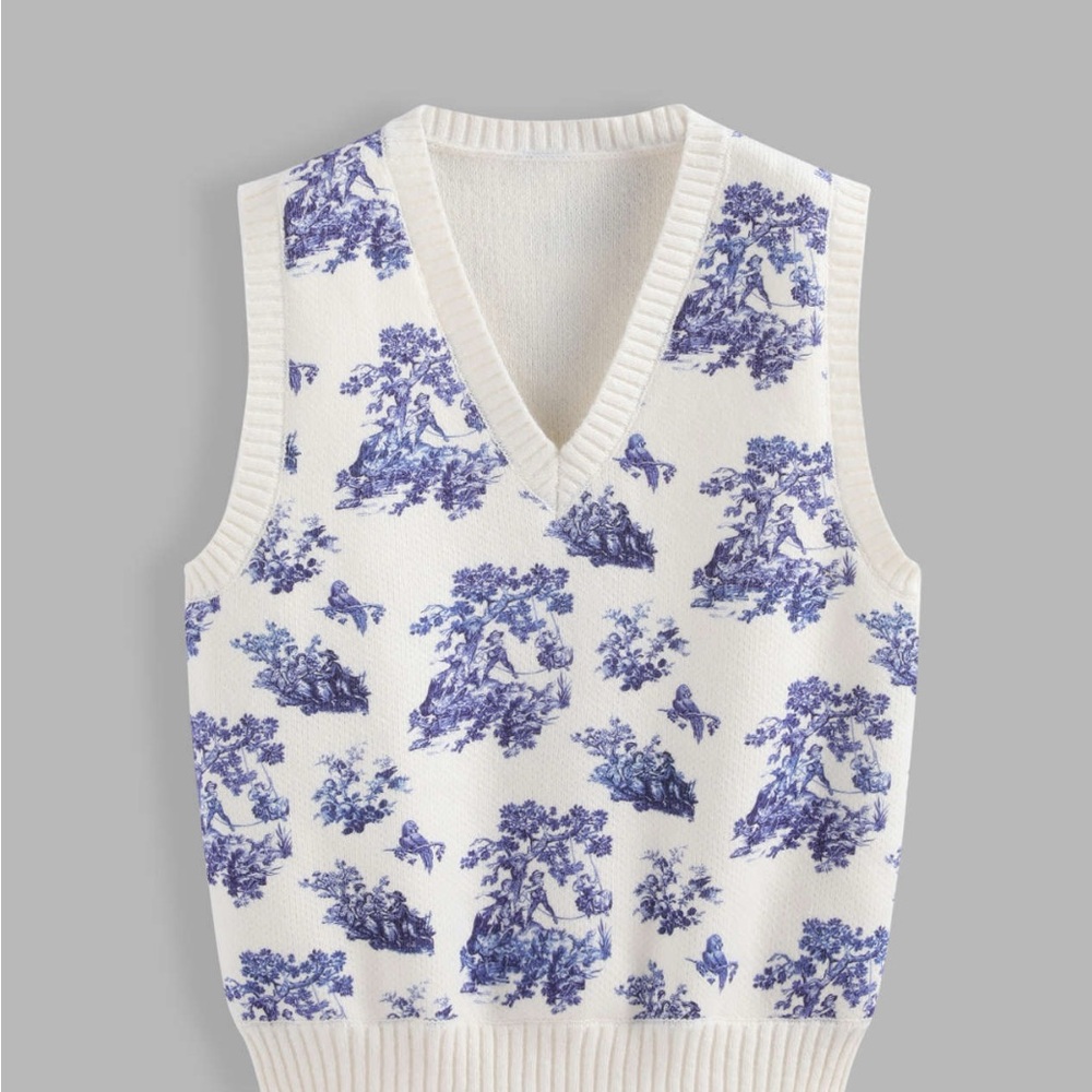 Cider Blue and White V-Neck Sweater